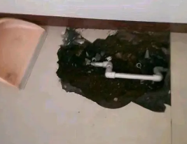新源卫生间测漏水多少钱